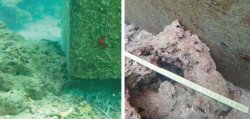 沖縄県が潜水調査で撮影した岩礁破砕許可区域外のコンクリートブロック周辺の状況＝名護市辺野古沖（県提供）