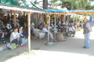 座り込みに参加する抗議の市民ら=29日、名護市辺野古・米軍キャンプ・シュワブゲート前