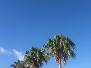 (資料写真)沖縄の青空