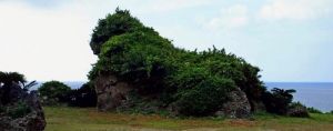 伊江島の北海岸に面する観光名所「湧出」付近にある岩=伊江村