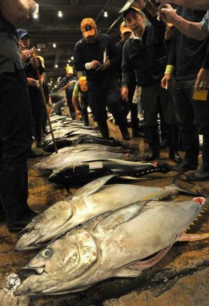 威勢のいい掛け声が響き、活気にあふれた泊魚市場の初競り=4日午前6時すぎ、那覇市