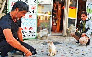 路地で出会った野良猫と、仲村清司さん(右)が抱える飼い猫「向田さん」を撮影する仲程長治監督(左)=那覇市壷屋