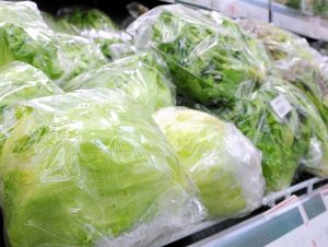 (資料写真)高騰する葉野菜