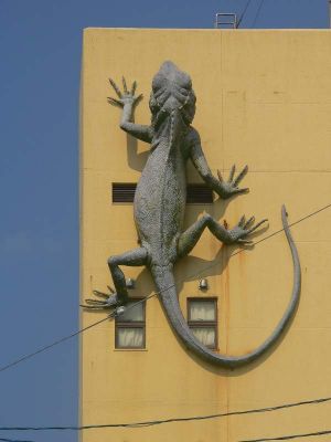 ビルの外壁に設置された「キノボリトカゲ」=沖縄県名護市城区
