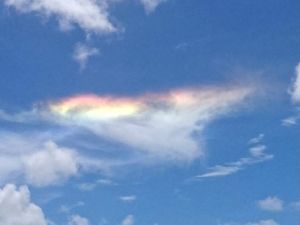 嘉手納町の上空で確認された彩雲、アップにしてみました(読者提供)