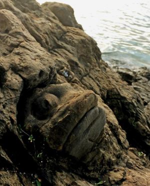 「魚(ミーバイ)にそっくり!」と平良匡さんが名付けた「ミーバイ岩」=石垣市崎枝赤崎(市観光文化課提供)