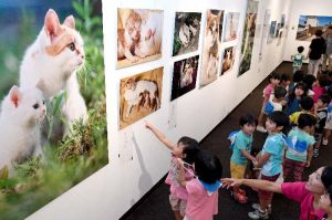 動物写真家の岩合光昭さんが撮影したネコの写真を鑑賞する大平保育所の園児たち=14日午前、浦添市美術館