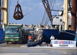 石材を台船に積み込むダンプカー=15日午前9時54分、本部港塩川地区