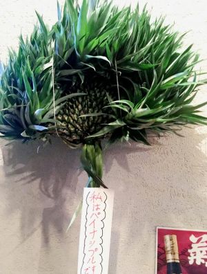 當山安一さんの畑でとれたキジムナーパイナップル