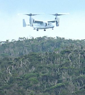 N1地区のヘリパッドで離発着を繰り返すオスプレイ=11日午後2時30分ごろ(安次嶺現達さん提供)