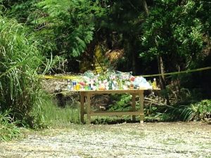 被害者の遺体発見現場には多くの花や飲み物がささげられた(2016年)