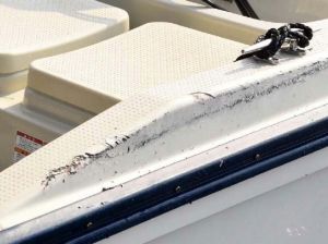 海保のゴムボートとの衝突でできた抗議船の破損部分=8日午前、名護市辺野古