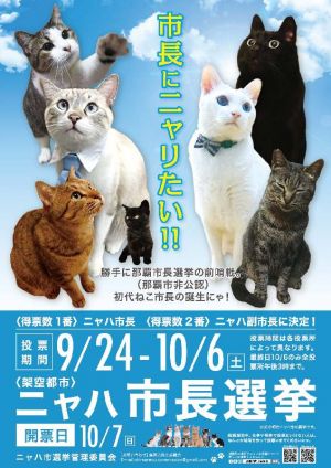 ニャハ市長選挙ポスター(島猫力向上委員会提供)