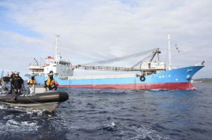 海上保安庁のゴムボートに守られながら新基地建設現場に入る作業船=16日午前、名護市辺野古沖