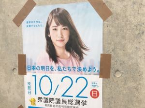 衆院選のポスター