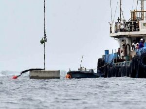 ブロックが投下される辺野古の海(資料写真、2017年2月撮影)