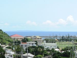 (資料写真)国頭村奥の集落から海をのぞむ