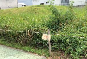 環境基準を超えるダイオキシンが検出された宅地=北谷町上勢頭